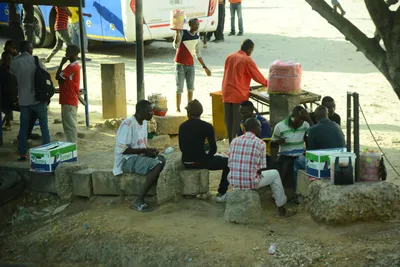 DSC_7766 (Large).JPG